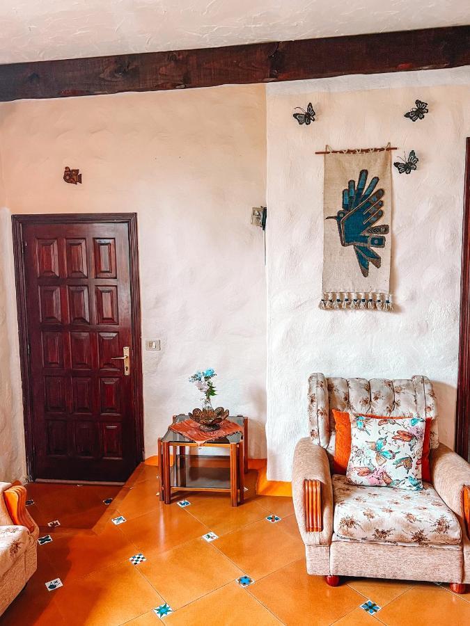Canarian Cottage With Terrace Surrounded By Garden - Alisios La Orotava Kültér fotó