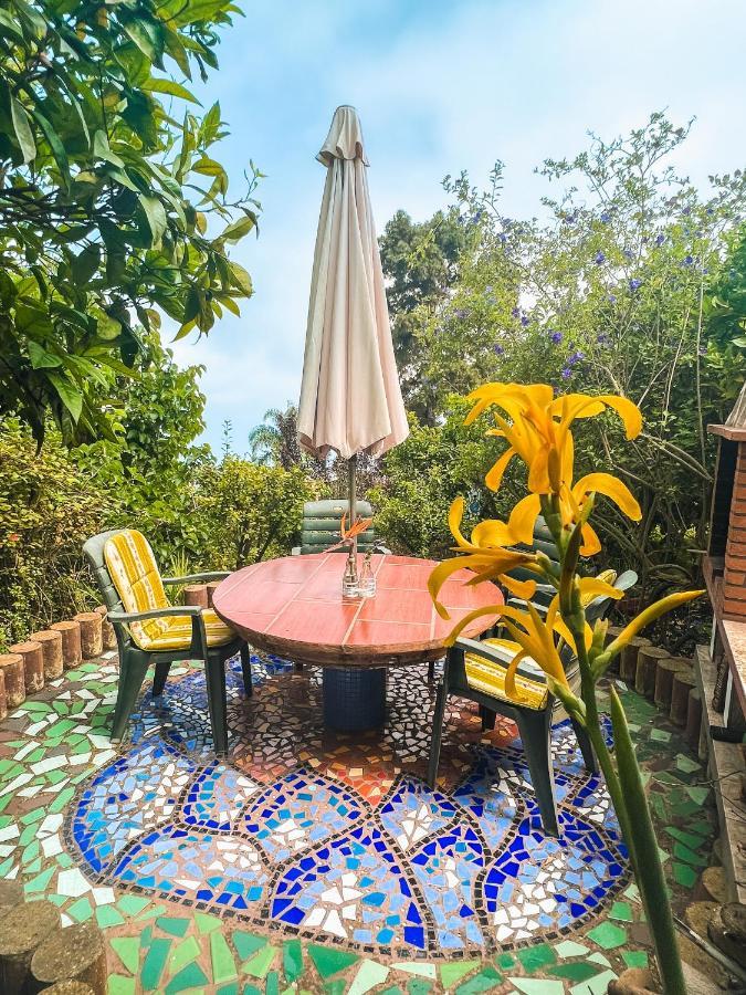 Canarian Cottage With Terrace Surrounded By Garden - Alisios La Orotava Kültér fotó