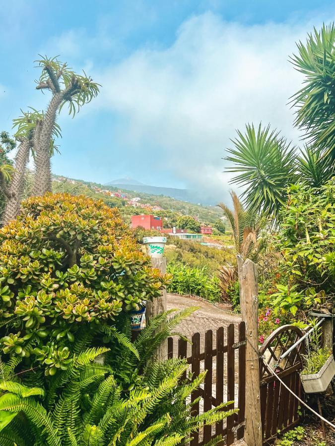 Canarian Cottage With Terrace Surrounded By Garden - Alisios La Orotava Kültér fotó