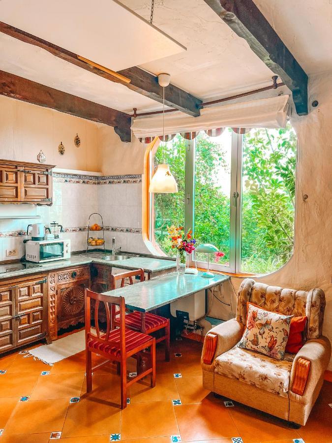 Canarian Cottage With Terrace Surrounded By Garden - Alisios La Orotava Kültér fotó