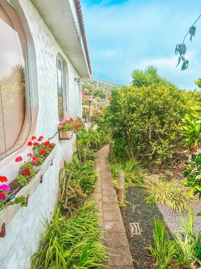 Canarian Cottage With Terrace Surrounded By Garden - Alisios La Orotava Kültér fotó