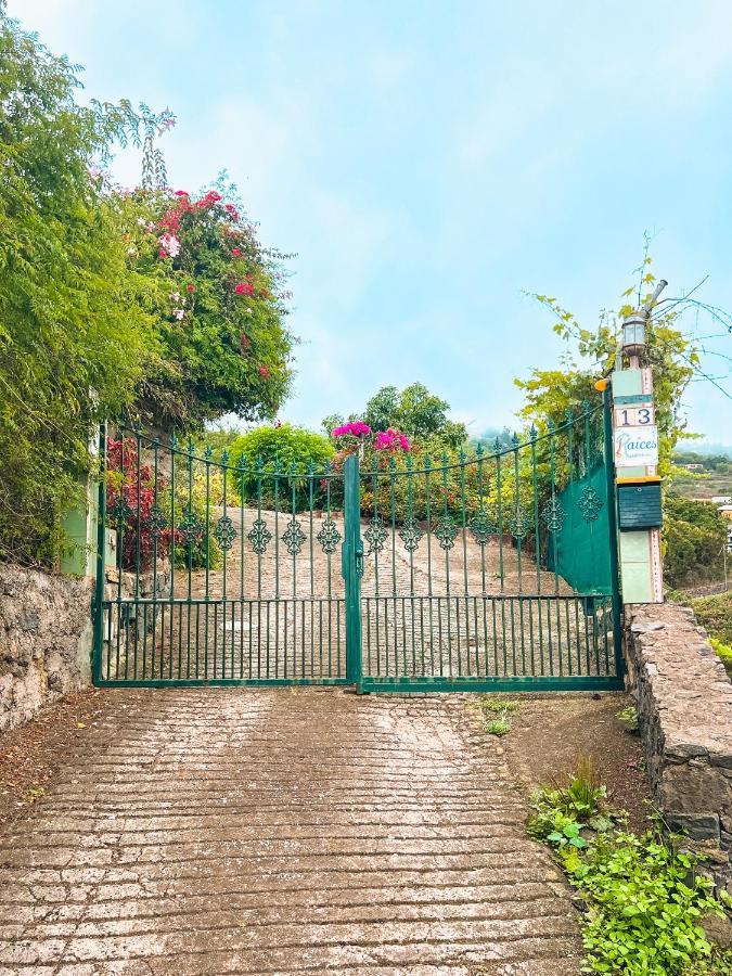 Canarian Cottage With Terrace Surrounded By Garden - Alisios La Orotava Kültér fotó
